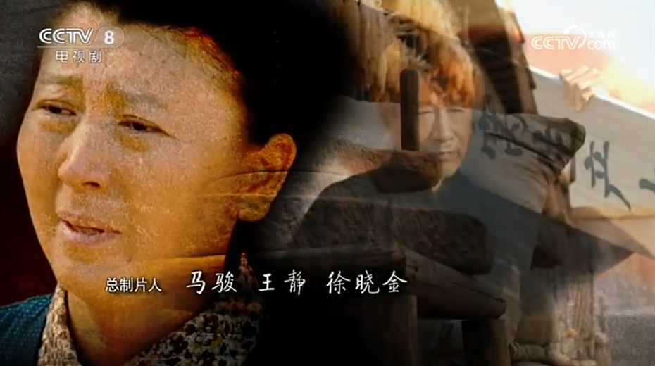 PG电子官方网站-央视八套：20260116播出闫学晶林傲霏母子俩主演的《故乡的泥土》